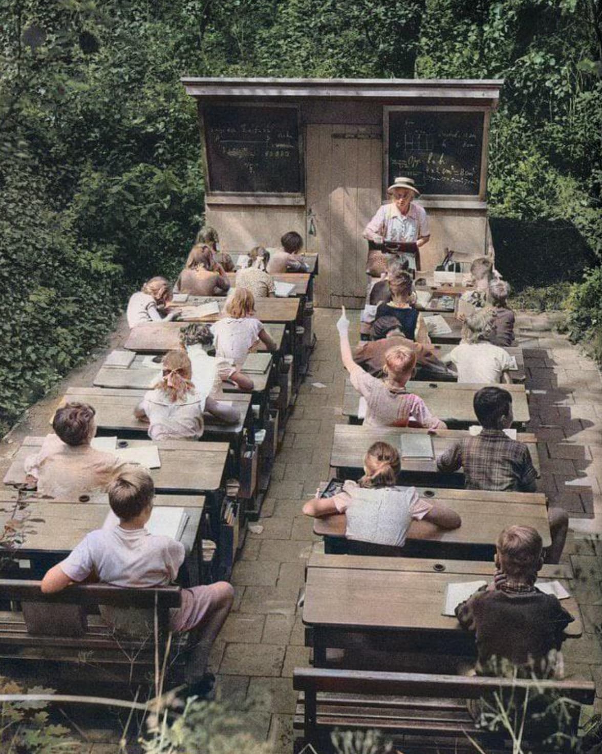 forest school netherlands - 4500